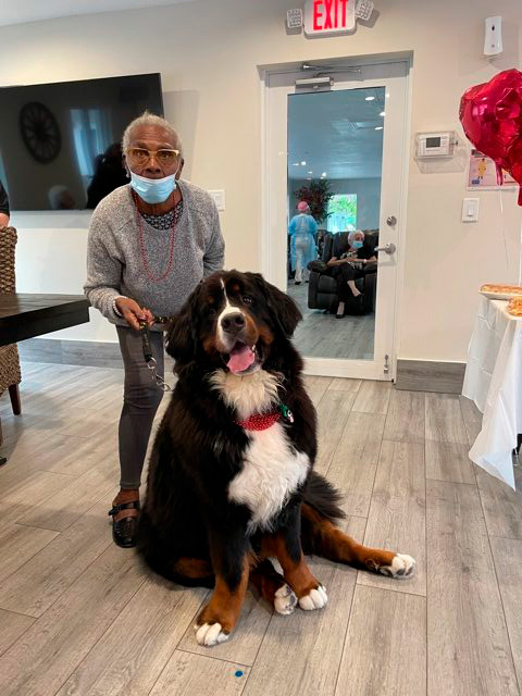Elder Care 2 y 3 Station “Salmo 23” | Ale Ramos Therapy Animals