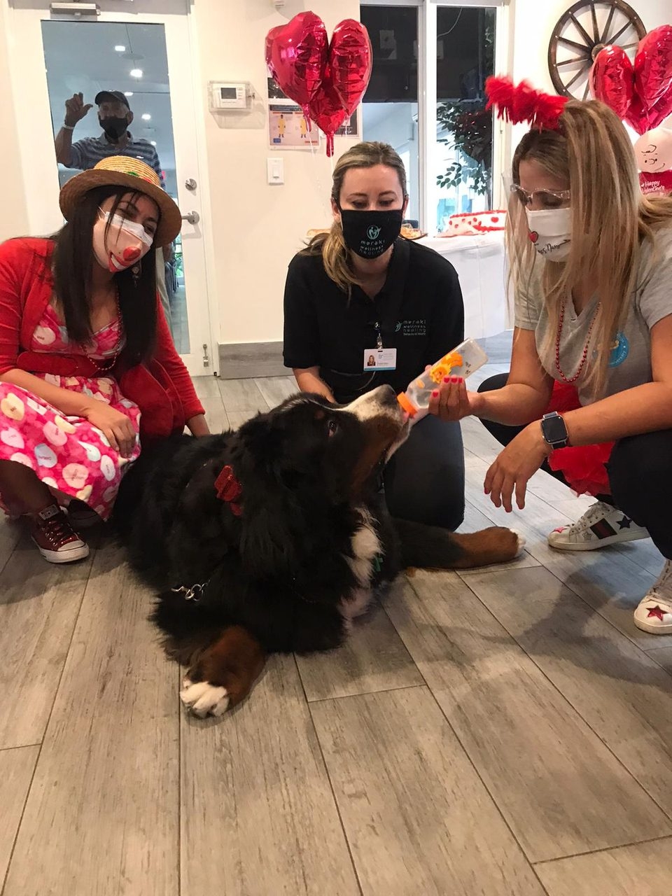 Elder Care 2 y 3 Station “Salmo 23” | Ale Ramos Therapy Animals