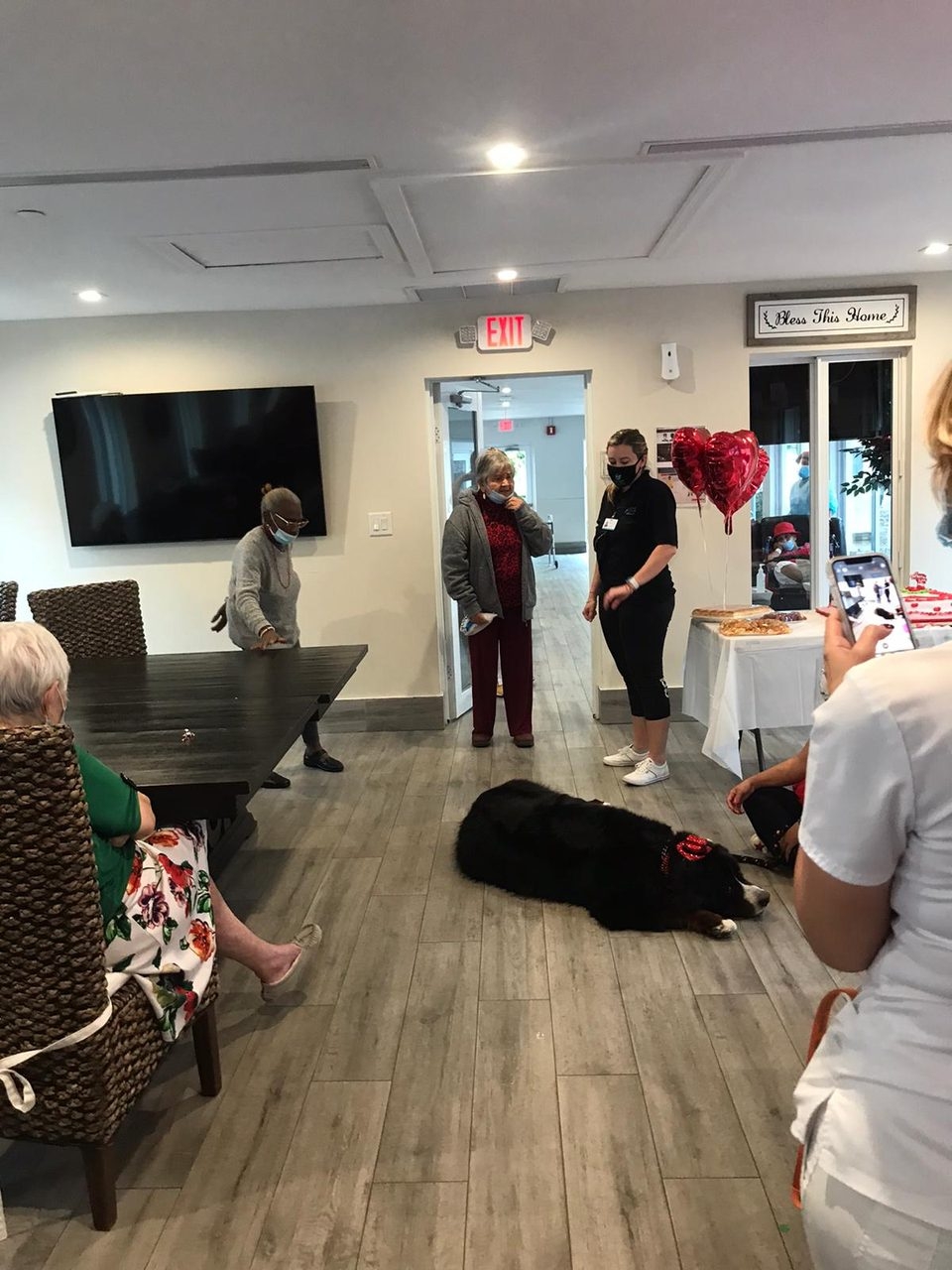 Elder Care 2 y 3 Station “Salmo 23” | Ale Ramos Therapy Animals