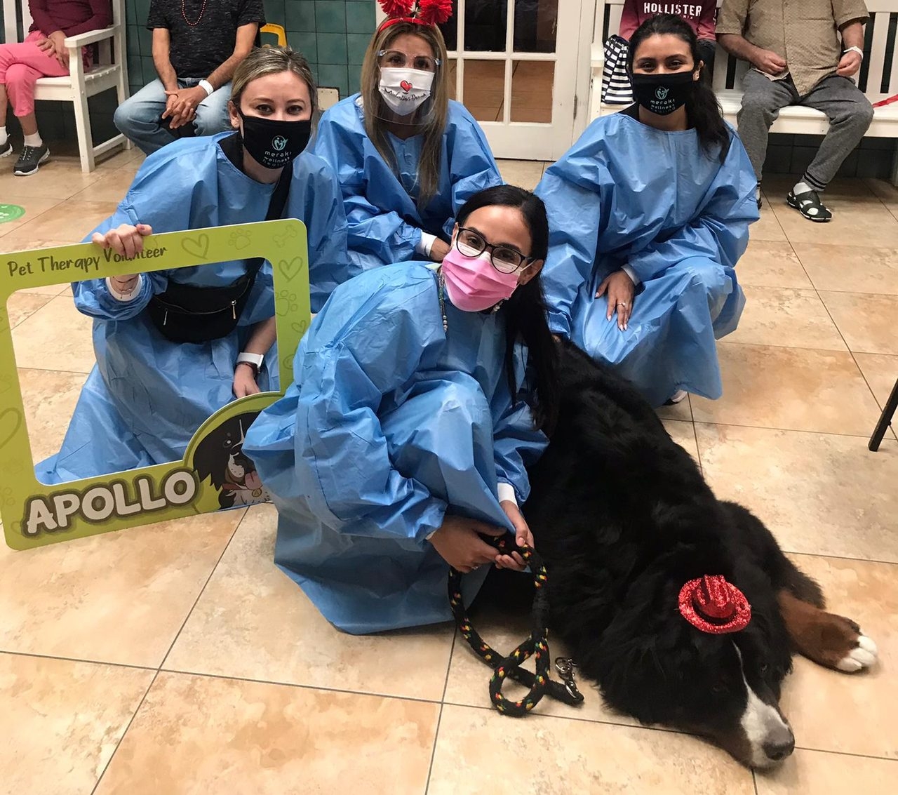 Elder Care 2 y 3 Station “Salmo 23” | Ale Ramos Therapy Animals