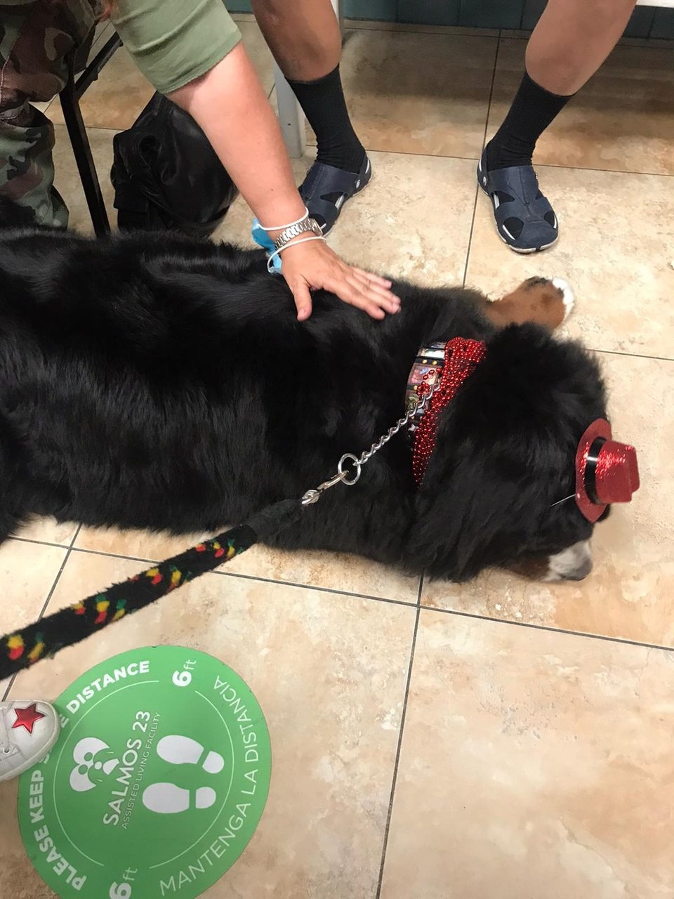 Elder Care 2 y 3 Station “Salmo 23” | Ale Ramos Therapy Animals