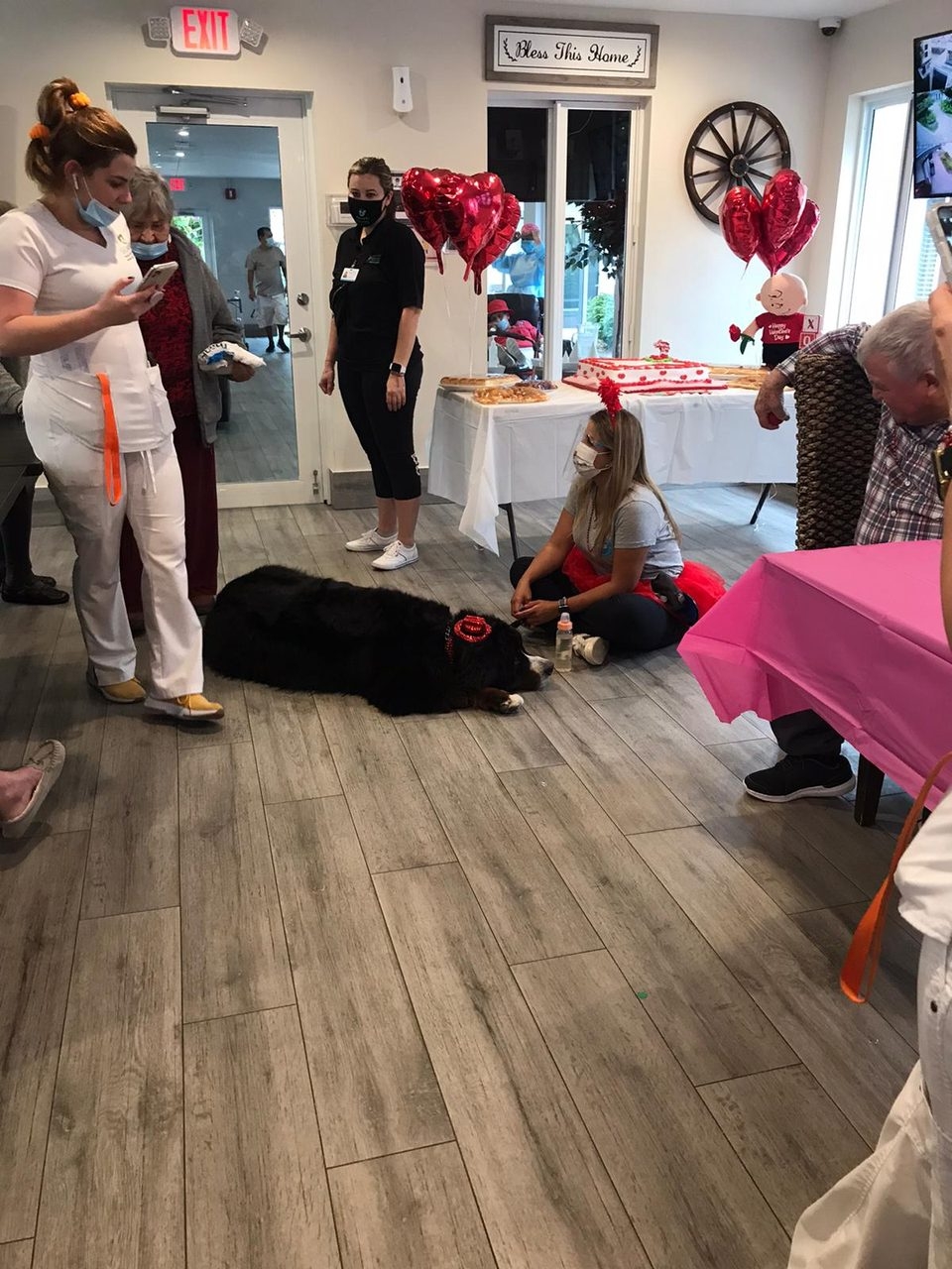 Elder Care 2 y 3 Station “Salmo 23” | Ale Ramos Therapy Animals