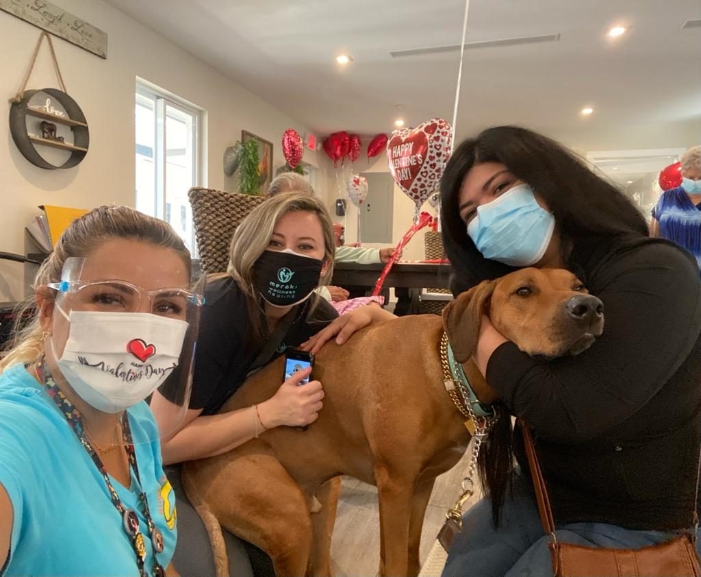 Elder Care “Salmo 23”Valentine Event | Ale Ramos Therapy Animals