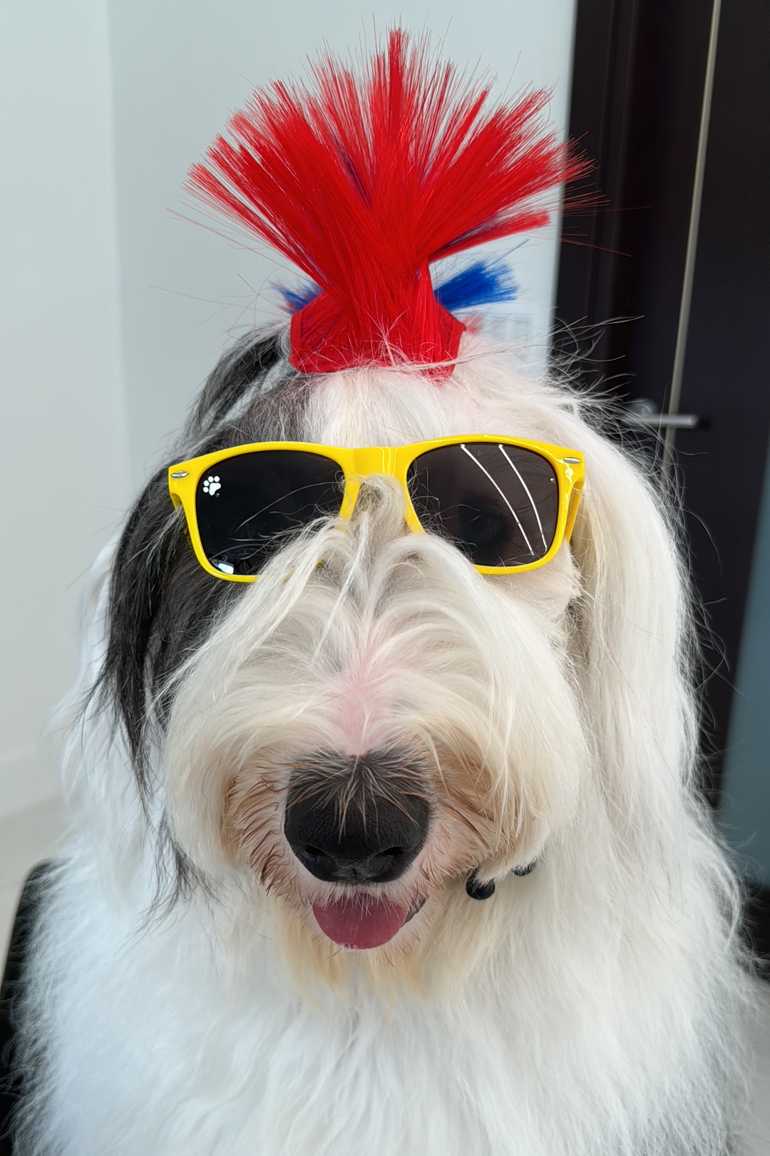 Halloween 2023!!! | Alexandra Ramos Therapy Animals