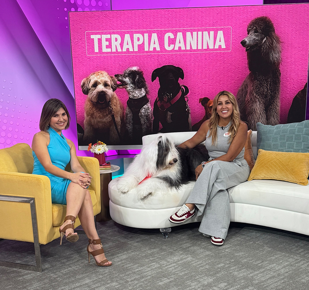 Here we are at Telemundo 51!! | Alexandra Ramos Therapy Animals