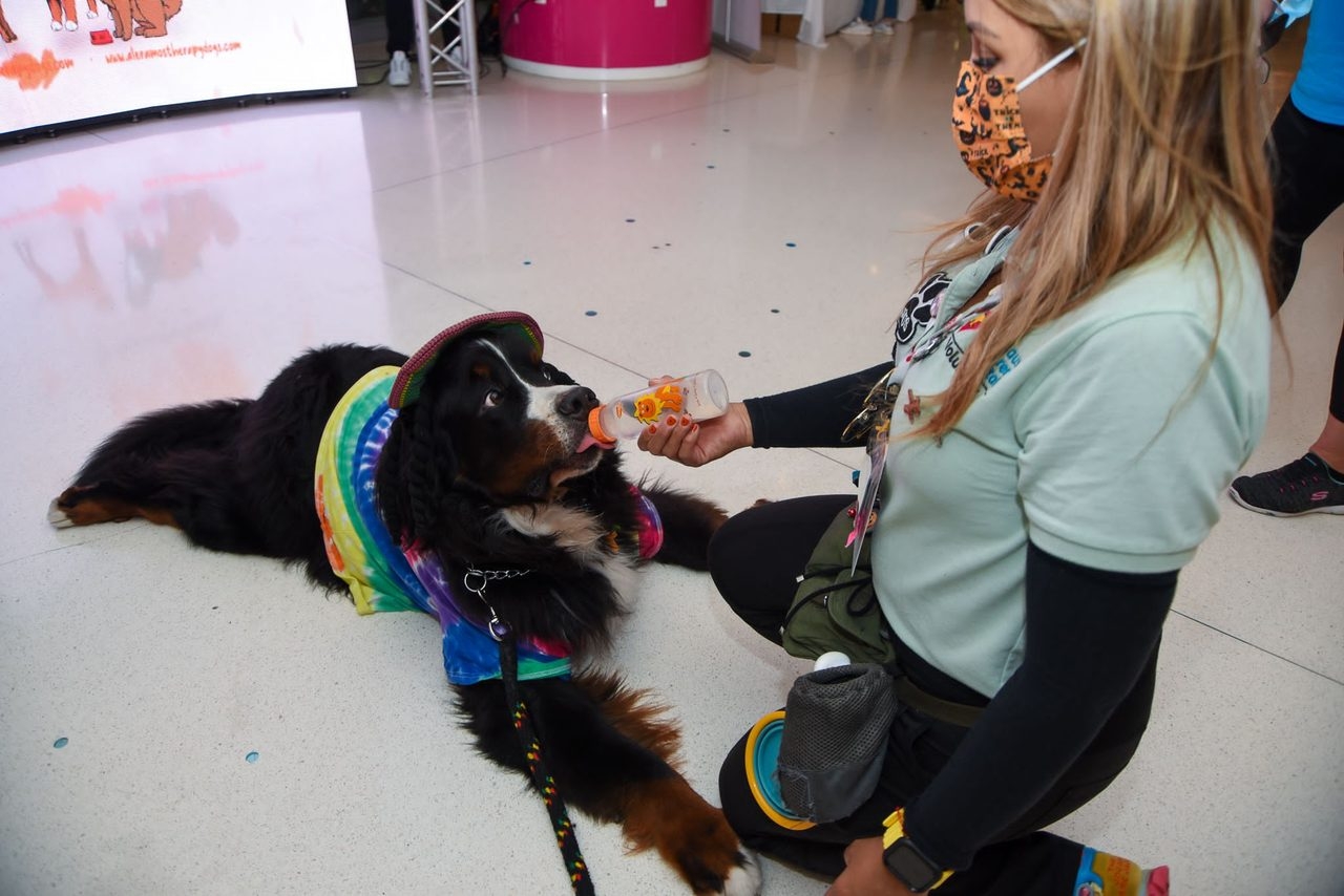  Oct 27, 2022 | Ale Ramos Therapy Animals