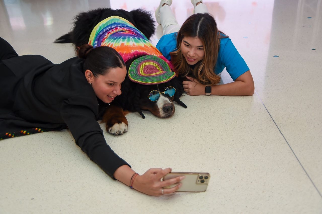  Oct 27, 2022 | Ale Ramos Therapy Animals