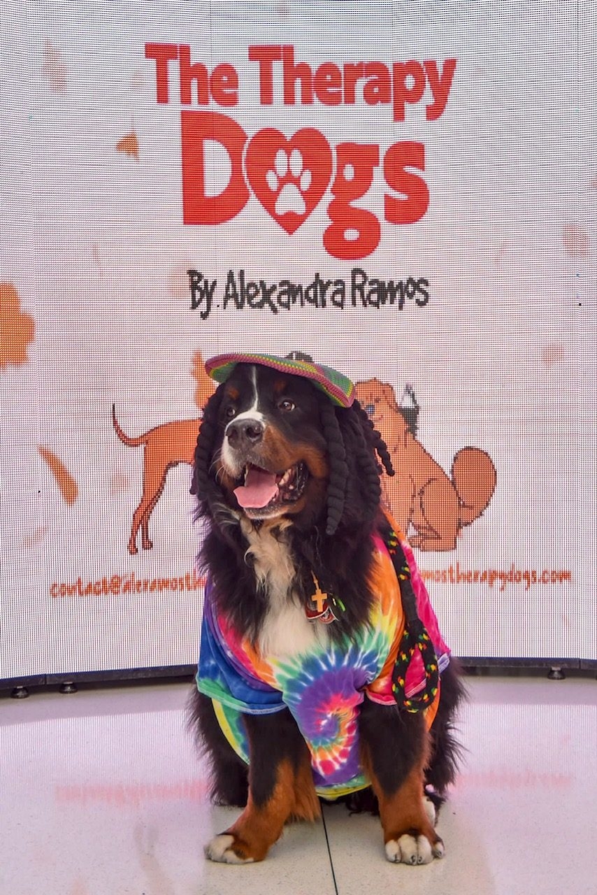 Oct 27, 2022 | Ale Ramos Therapy Animals