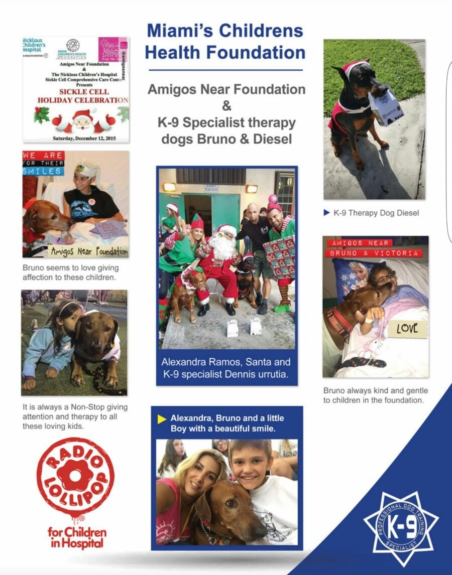 K9 Celebrities 2016 | Ale Ramos Therapy Animals