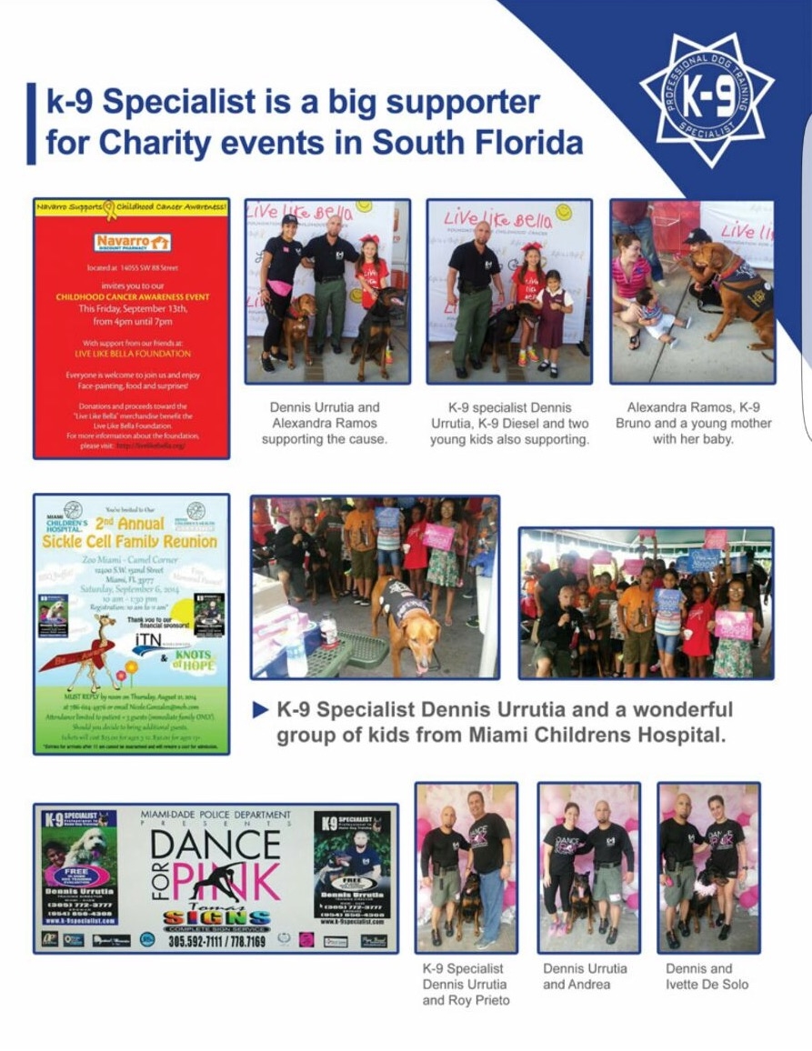 K9 Celebrities 2016 | Ale Ramos Therapy Animals