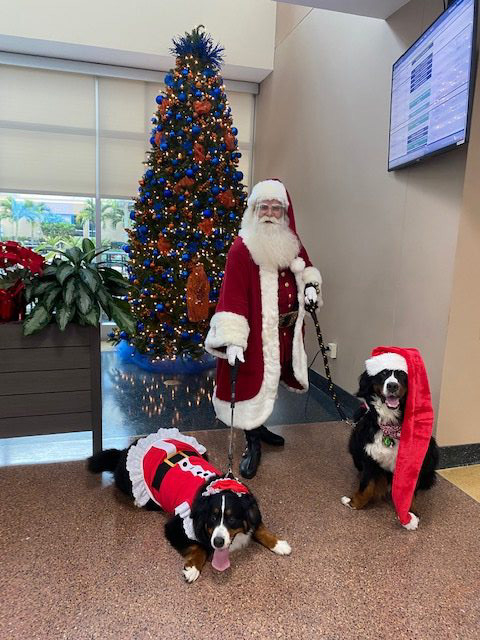 Kendall Regional Hospital Christmas visit | Ale Ramos Therapy Animals