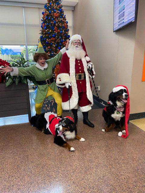 Kendall Regional Hospital Christmas visit | Ale Ramos Therapy Animals