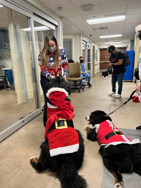 Kendall Regional Hospital Christmas visit | Ale Ramos Therapy Animals