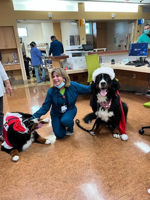 Kendall Regional Hospital Christmas visit | Ale Ramos Therapy Animals