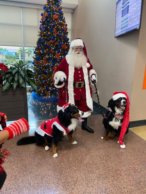 Kendall Regional Hospital Christmas visit | Ale Ramos Therapy Animals