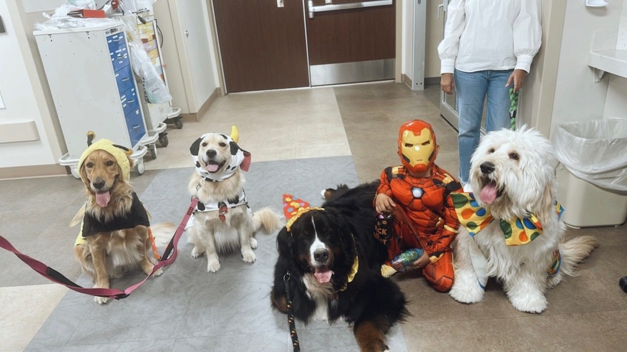 Kendall Regional Hospital - Halloween visit by Apollo | Ale Ramos Therapy Animals