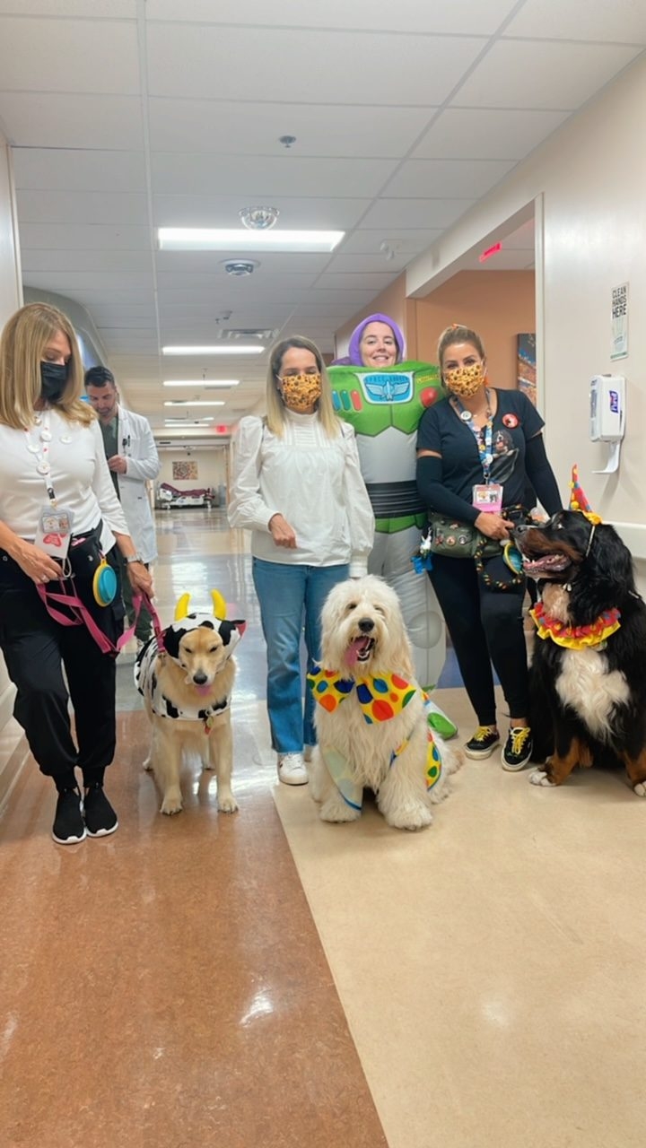 Kendall Regional Hospital - Halloween visit by Apollo | Ale Ramos Therapy Animals