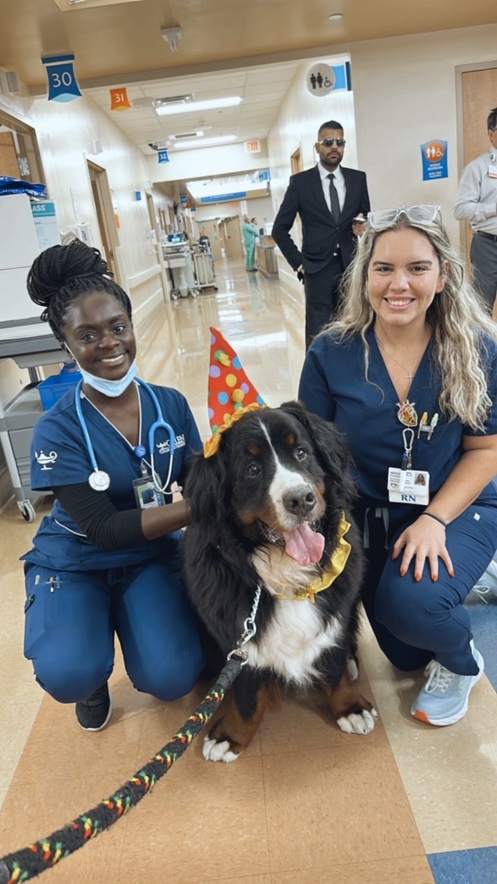 Kendall Regional Hospital - Halloween visit by Apollo | Ale Ramos Therapy Animals