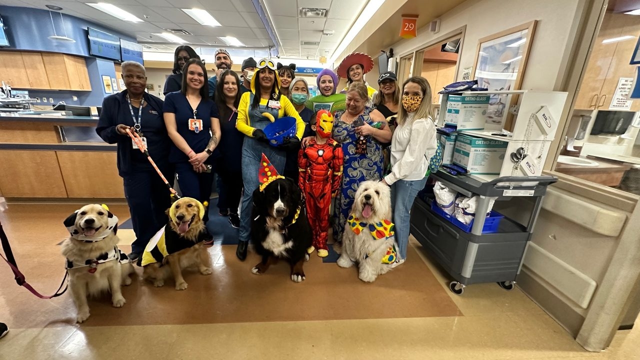 Kendall Regional Hospital - Halloween visit by Apollo | Ale Ramos Therapy Animals