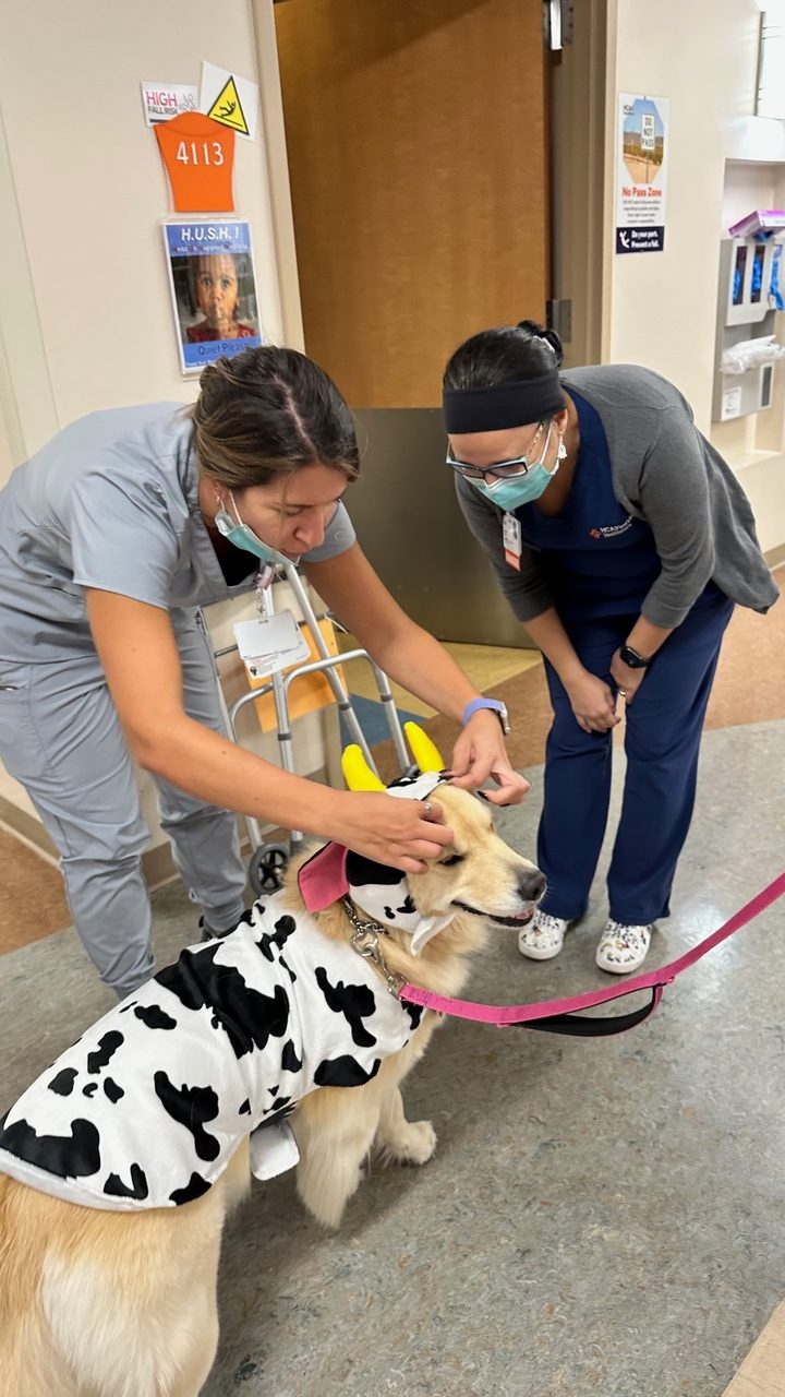 Kendall Regional Hospital - Halloween visit by Apollo | Ale Ramos Therapy Animals