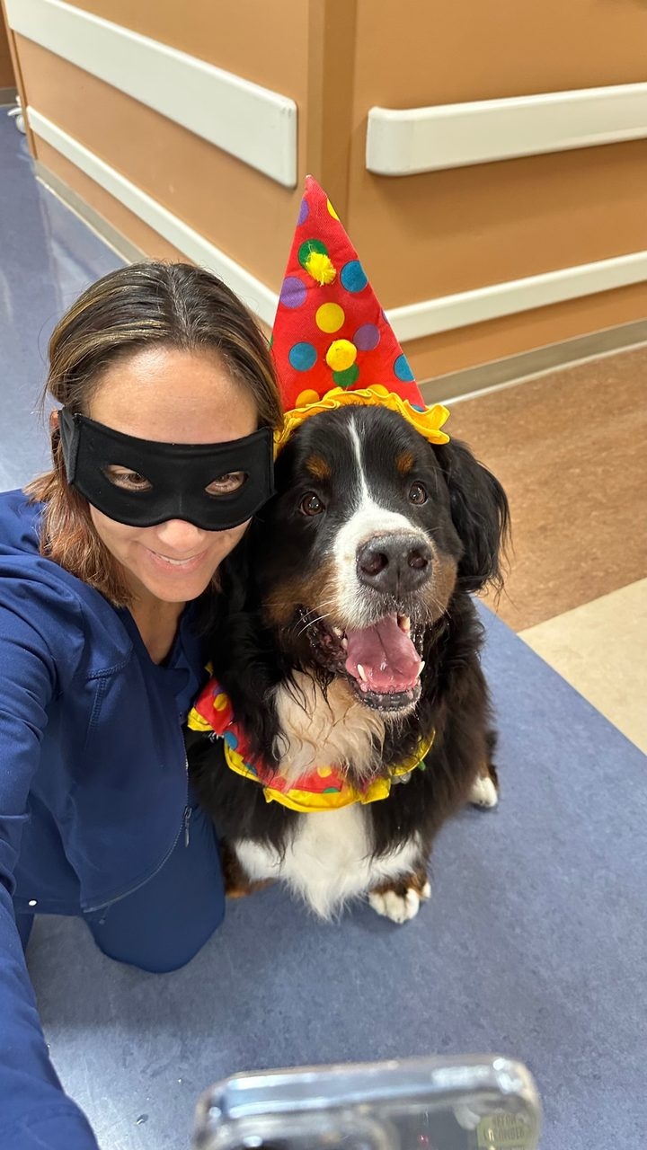 Kendall Regional Hospital - Halloween visit by Apollo | Ale Ramos Therapy Animals