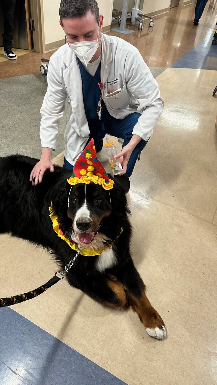 Kendall Regional Hospital - Halloween visit by Apollo | Ale Ramos Therapy Animals