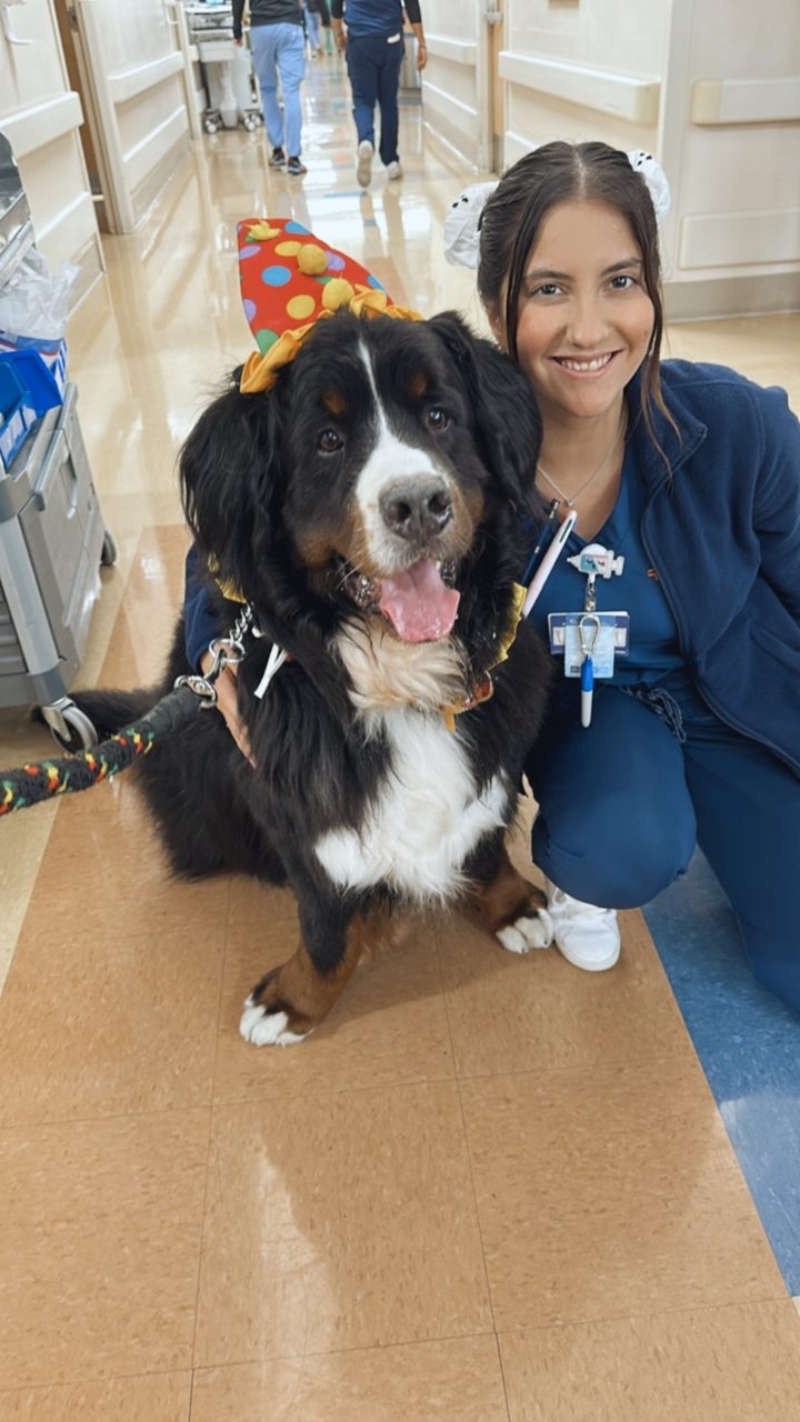 Kendall Regional Hospital - Halloween visit by Apollo | Ale Ramos Therapy Animals