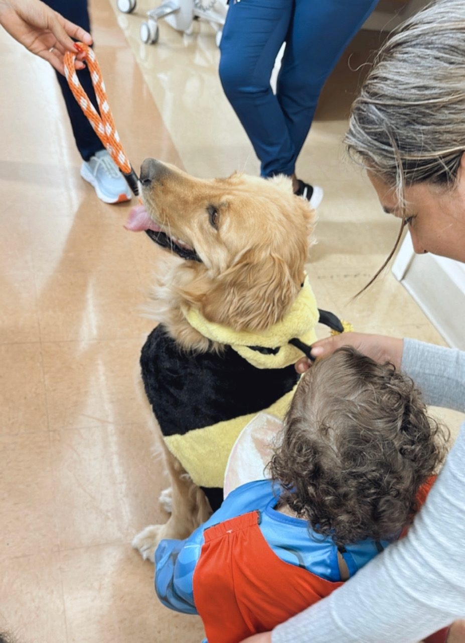Kendall Regional Hospital - Halloween visit by Apollo | Ale Ramos Therapy Animals
