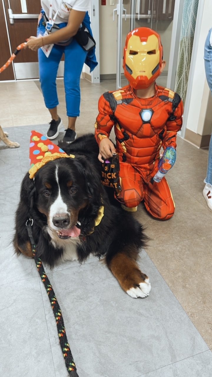 Kendall Regional Hospital - Halloween visit by Apollo | Ale Ramos Therapy Animals