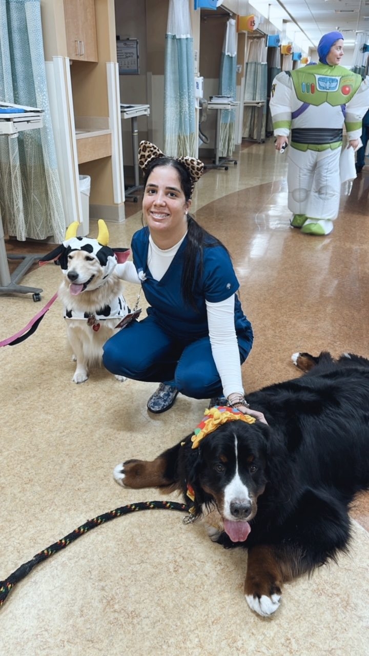 Kendall Regional Hospital - Halloween visit by Apollo | Ale Ramos Therapy Animals