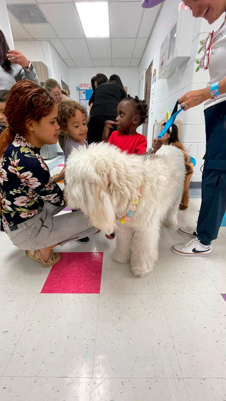  April 6, 2023 | Ale Ramos Therapy Animals