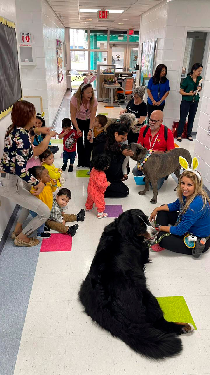  April 6, 2023 | Ale Ramos Therapy Animals