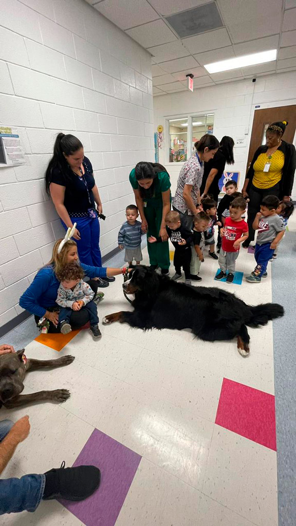  April 6, 2023 | Ale Ramos Therapy Animals