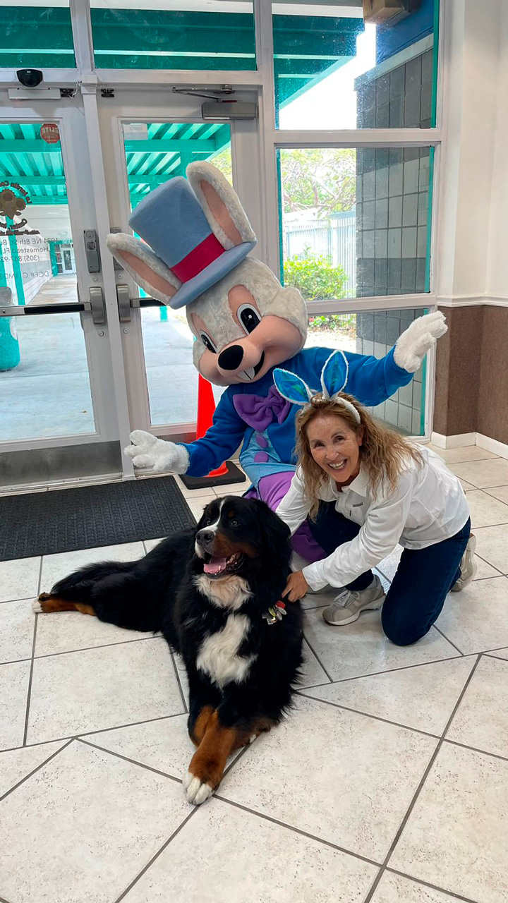  April 6, 2023 | Ale Ramos Therapy Animals