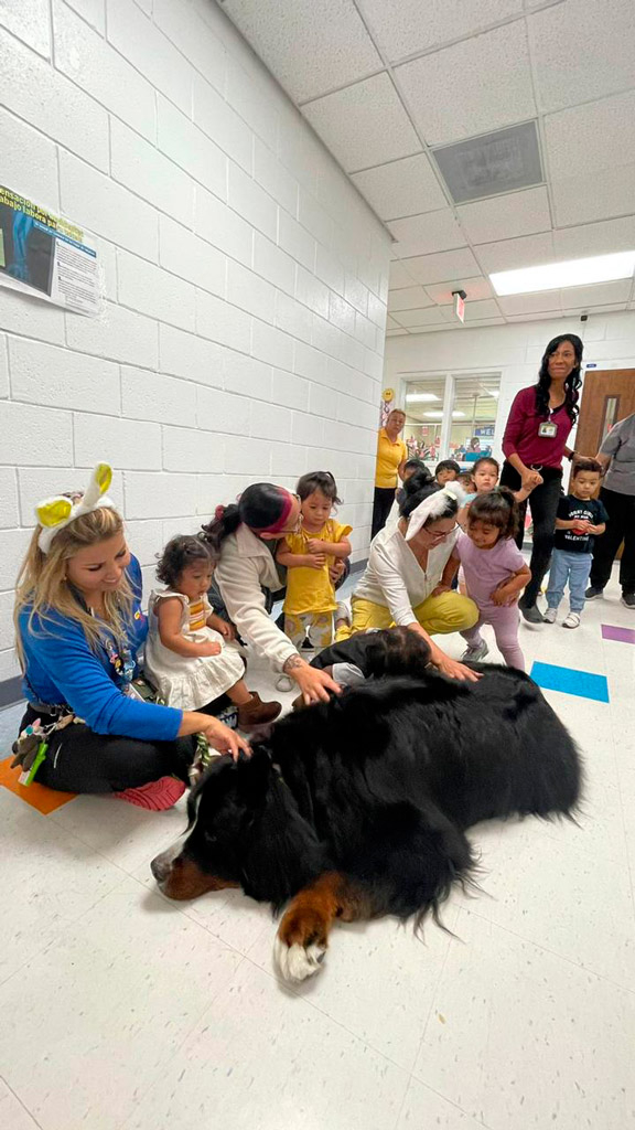  April 6, 2023 | Ale Ramos Therapy Animals