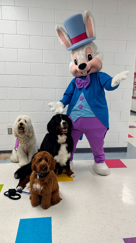  April 6, 2023 | Ale Ramos Therapy Animals