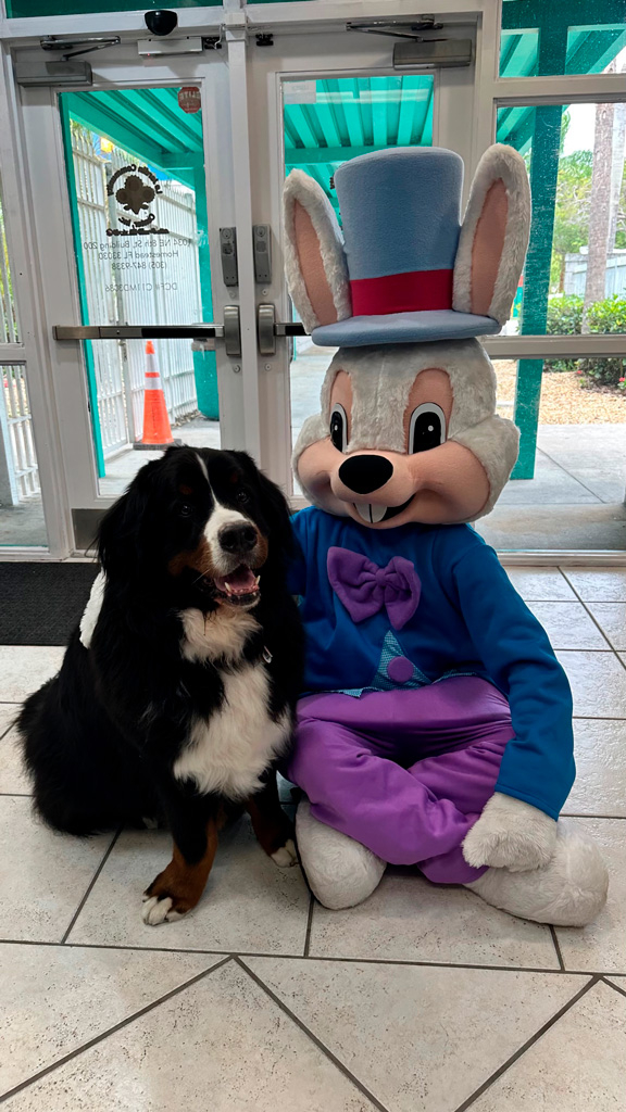  April 6, 2023 | Ale Ramos Therapy Animals