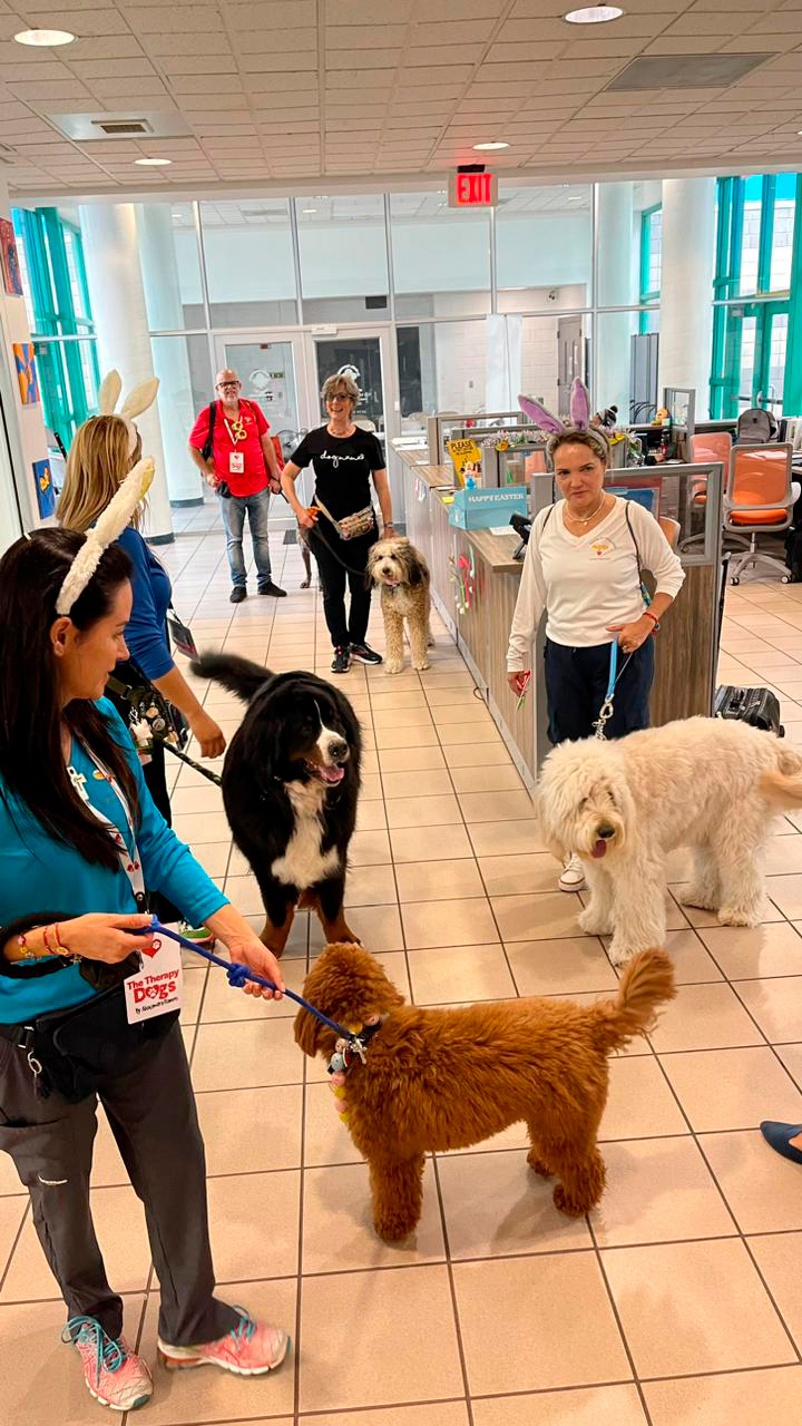  April 6, 2023 | Ale Ramos Therapy Animals