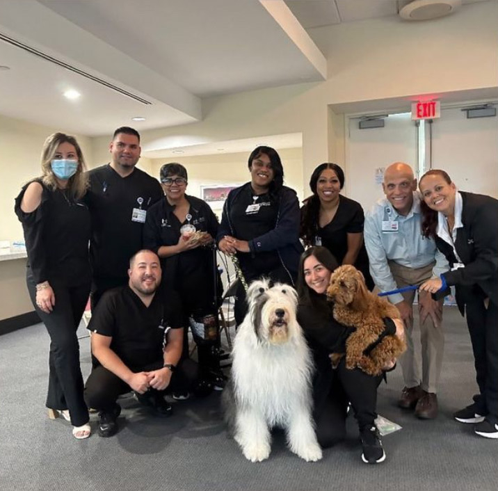  Nov 14, 2023 | Ale Ramos Therapy Animals