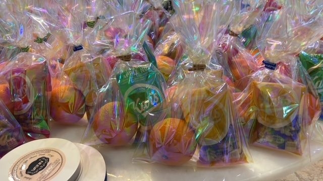 Lung Cancer Event at Mount Sinai Hospital | Ale Ramos Therapy Animals