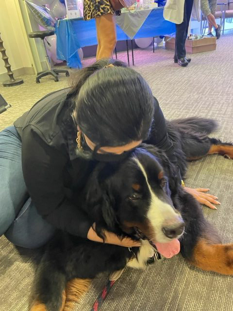Lung Cancer Event at Mount Sinai Hospital | Ale Ramos Therapy Animals