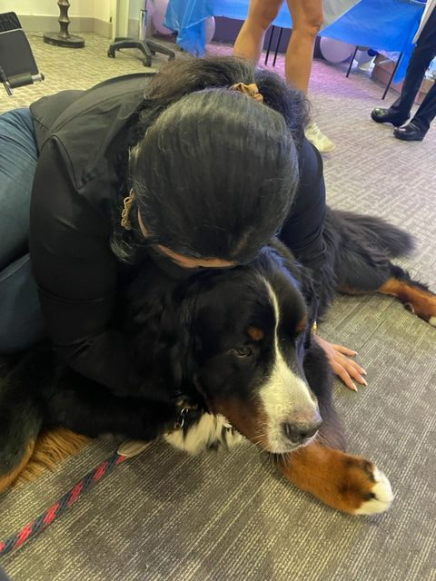 Lung Cancer Event at Mount Sinai Hospital | Ale Ramos Therapy Animals