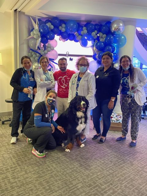 Lung Cancer Event at Mount Sinai Hospital | Ale Ramos Therapy Animals
