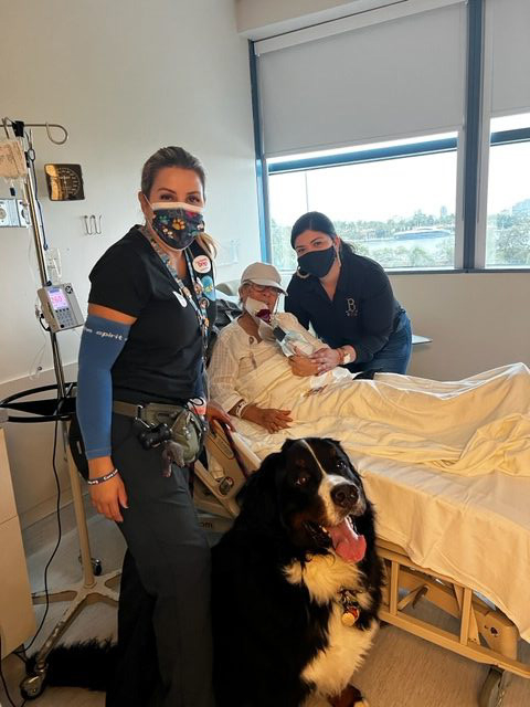 Lung Cancer Event at Mount Sinai Hospital | Ale Ramos Therapy Animals