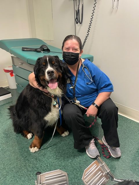 Lung Cancer Event at Mount Sinai Hospital | Ale Ramos Therapy Animals