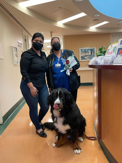 Lung Cancer Event at Mount Sinai Hospital | Ale Ramos Therapy Animals