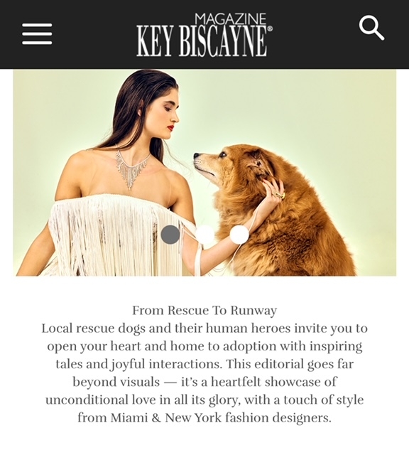 Magazine Key Biscayne / Paws of Hope 2024 | Alexandra Ramos Therapy Animals