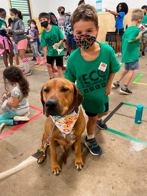 Mannate Camp Educative Event by Odin | Ale Ramos Therapy Animals
