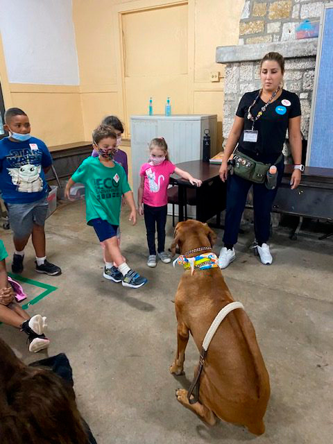Mannate Camp Educative Event by Odin | Ale Ramos Therapy Animals