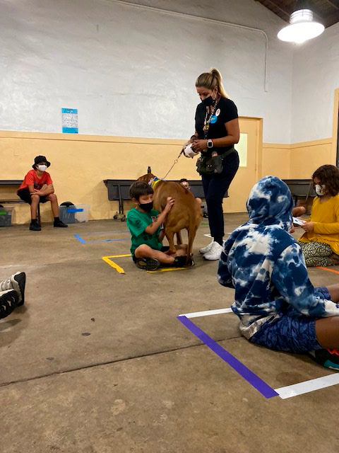 Mannate Camp Educative Event by Odin | Ale Ramos Therapy Animals